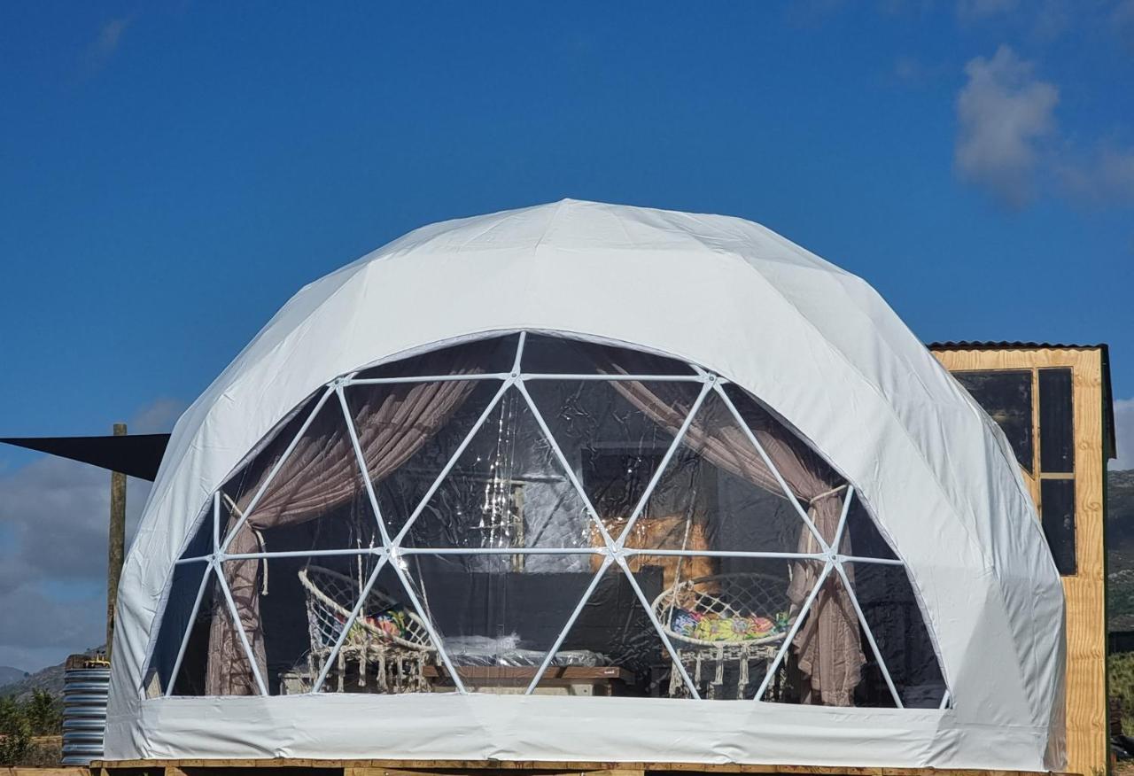 מלון Hartebeesrivier Pom Gratz - Ecodomes מראה חיצוני תמונה
