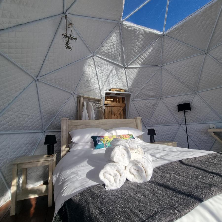 מלון Hartebeesrivier Pom Gratz - Ecodomes מראה חיצוני תמונה